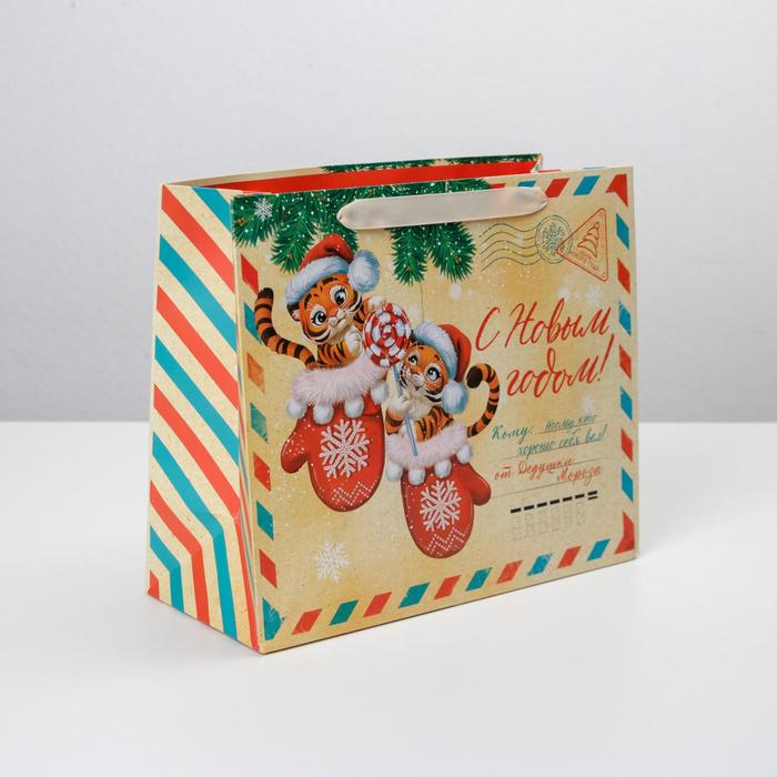Пакет ламинированный горизонтальный «Новогодняя почта», ML 27 × 23 × 11.5 см - Фото 1