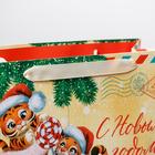 Пакет ламинированный горизонтальный «Новогодняя почта», ML 27 × 23 × 11.5 см - Фото 3