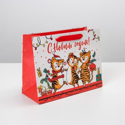 Пакет подарочный новогодний ламинированный «Веселушки», MS 23 х 18 х 10 см