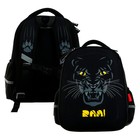 Рюкзак каркасный 38 х 30 х 20 см, Bruno Visconti "Взгляд зверя. Пантера", для мальчиков - Фото 1