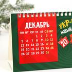 Календарь с отрывными листами «Укроти Новый год», 20 х 13.5 см - Фото 3