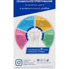 Отбеливающие полоски для зубов Global White Teeth Whitening Strips, 14 саше, 7 пар - Фото 8