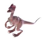 Набор динозавров «Юрский период», 6 фигурок - фото 6448150