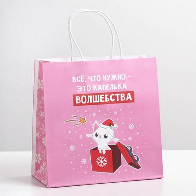 Пакет подарочный новогодний «Капелька волшебства», 22 х 22 х 11 см