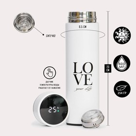 Термос Supreme "Love", c термометром, 450 мл, сохраняет тепло 8 ч, 23 х 6.5 см