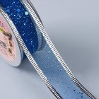 Лента капроновая с металлической нитью «Блёстки», 25 мм × 2,7 ± 0,5 м, цвет синий/серебряный - Фото 2