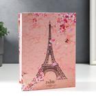 Фотоальбом на 100 фото 13х18 "Эйфелева башня, кракелюр и розовые цветы" - Фото 2