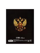 Набор предметных тетрадей Calligrata «Герб», 12 предметов, 48 листов, со справочным материалом, обложка из мелованного картона - Фото 14