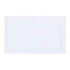 Набор предметных тетрадей Calligrata «Супернеон», 10 предметов, 48 листов, со справочным материалом, обложка из мелованного картона - Фото 6