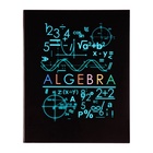 Набор предметных тетрадей Calligrata «Супернеон», 10 предметов, 48 листов, со справочным материалом, обложка из мелованного картона - Фото 12