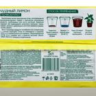 Почвобрикет БиоМастер «Чудный лимон», 5 л - Фото 2