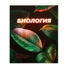 Набор предметных тетрадей 48 листов, Calligrata 3D, 10 предметов, серые листы - Фото 28
