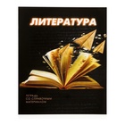 Набор предметных тетрадей Calligrata. 3D, 10 предметов, 48 листов, со справочным материалом, обложка из мелованного картона - Фото 23