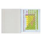 Набор предметных тетрадей Calligrata. 3D, 10 предметов, 48 листов, со справочным материалом, обложка из мелованного картона - Фото 34