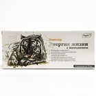 Эликсир «Эльзам. Энергия жизни» с женьшенем и витамином С, 10 флаконов по 10 мл - фото 21322489