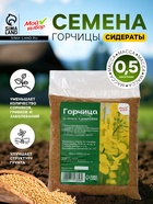 Семена Горчица, Мой Выбор, 0,5 кг - Фото 2