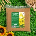 Семена Горчица белая СТМ, 3 кг - фото 809171100