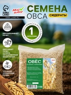 Семена Овес, Мой Выбор, 1 кг - Фото 1