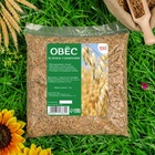 Семена Овес, Мой Выбор, 1 кг - Фото 3