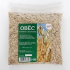 Семена Овес, Мой Выбор, 1 кг - Фото 2