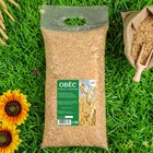 Семена Овес, Мой Выбор, 3 кг - Фото 1