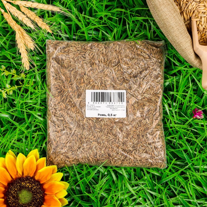 Семена Рожь «Мой Выбор», 0.5 кг - Фото 1