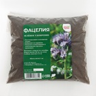 Семена Фацелия «Мой Выбор», 1 кг - Фото 2