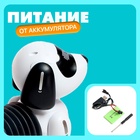Робот собака «Такса» ZHORYA, на пульте управления, интерактивный: звук, свет, на аккумуляторе, на русском языке - Фото 5