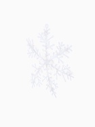 Ёлочные игрушки набор 3 шт. «Зимнее волшебство. Снежинка - пушинка», d=14 см, белый - Фото 6