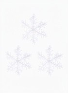 Ёлочные игрушки набор 3 шт. «Зимнее волшебство. Снежинка - пушинка», d=14 см, белый (комплект 10 шт) - фото 60762597