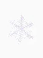 Украшение ёлочное "Снежинка - пушинка" (набор 3 шт) d-21 см, белый (10 шт) - фото 809204260 Украшение ёлочное "Снежинка - пушинка" (набор 3 шт) d-21 см, белый (10 шт) - фото 809204260