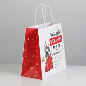 Пакет подарочный новогодний «Загадай желание», 22×22×11 см
