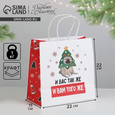 Пакет подарочный новогодний «А вас также», 22×22×11 см