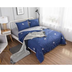 

Комплект с одеялами «Ришелье №13», размер 160х220 см - 2 шт, 230х250 см, 50х70 см - 2 шт