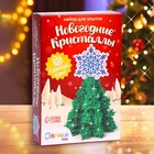 Выращивание новогоднего кристалла «Ёлка со звездой», набор для опытов - Фото 1