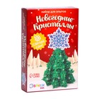 Выращивание новогоднего кристалла «Ёлка со звездой», набор для опытов - Фото 5