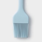 Кисть Доляна «Винфор», 21 см, цвет голубой - фото 4605584