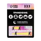 Набор светоотражающий «Принцесса», 4 наклейки  (артикул 7044334)  большой выбор товаров оптом и в розницу по низким ценам с доставкой