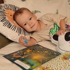 Подушка декоративная Этель «Лев», 40х40 см, велюр, 100% полиэстер - фото 27452903