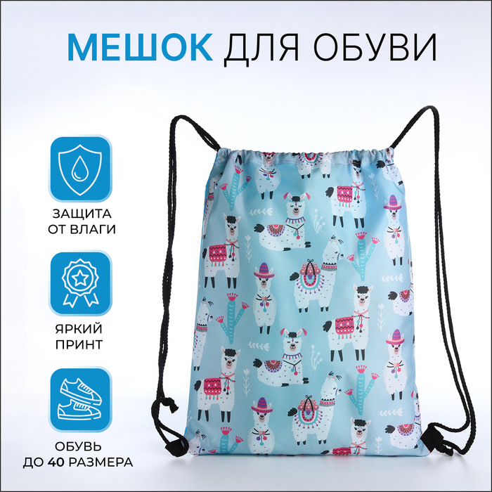 Мешок для обуви на шнурке, с принтом, размер 32×0.5×40 см, розовый/голубой - Фото 1
