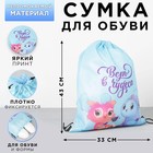 Мешок для обуви «Верь в чудеса» (болоньевый материал) 43×33 см - Фото 1