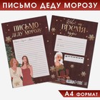 Письмо Деду Морозу «Новый Год - время чудес», 21х30 см - фото 9336749