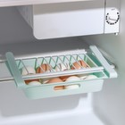 Полка для яиц в холодильник, подвесная, 12 ячеек, 26×17×5 см, цвет МИКС - Фото 1