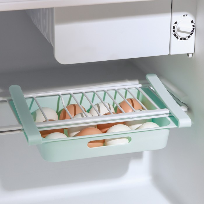 Полка для яиц в холодильник, подвесная, 12 ячеек, 26×17×5 см, цвет МИКС - фото 1907275140