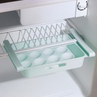 Полка для яиц в холодильник, подвесная, 12 ячеек, 26×17×5 см, цвет МИКС - Фото 2