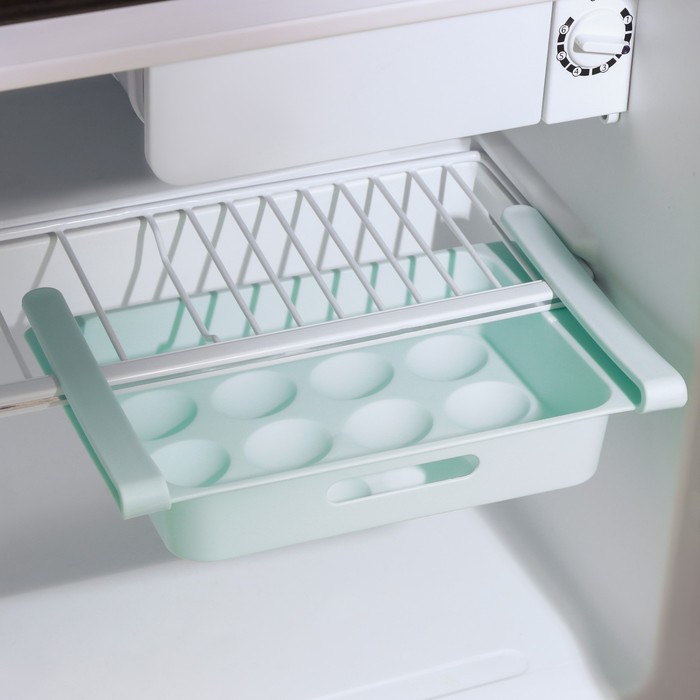 Полка для яиц в холодильник, подвесная, 12 ячеек, 26×17×5 см, цвет МИКС - фото 1888147072