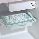 Полка для яиц в холодильник, подвесная, 12 ячеек, 26×17×5 см, МИКС - Фото 3