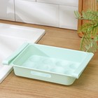 Полка для яиц в холодильник, подвесная, 12 ячеек, 26×17×5 см, МИКС - Фото 4