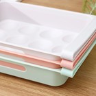 Полка для яиц в холодильник, подвесная, 12 ячеек, 26×17×5 см, МИКС - Фото 7