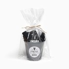 Кухонный набор «Доляна. Милый дом»: полотенце, губка, лопатка, венчик, кисть - Фото 10